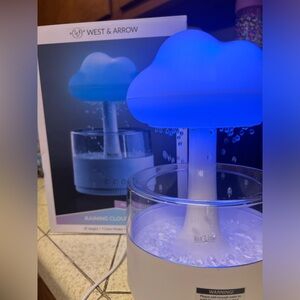 Raining cloud light . 9” Height/ 7 colors Modes/ usb powered.